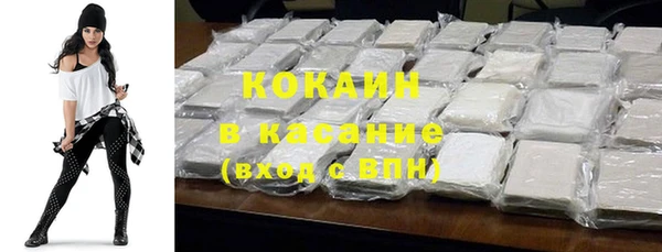 spice Богородицк